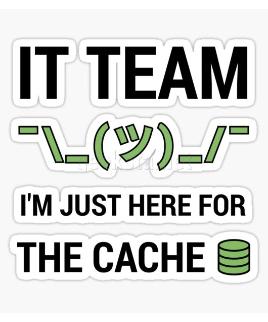 Funny IT Support Tech Team Joke I'm Just Here For The Cache